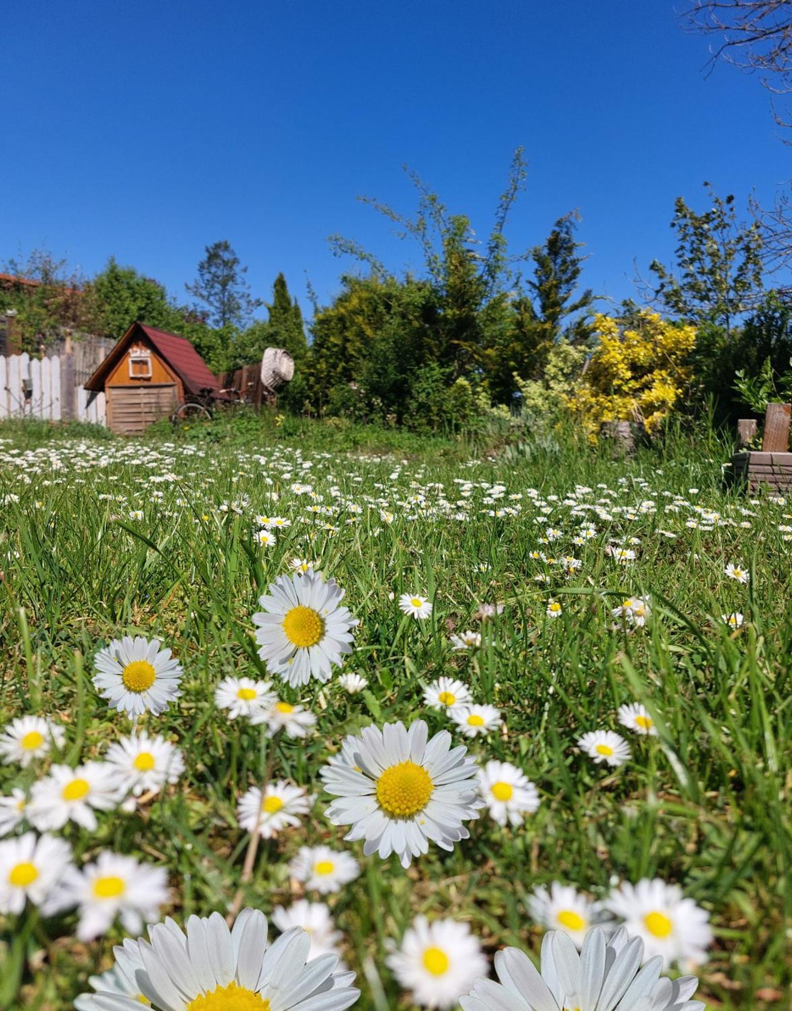 Ferienhaus Nr 2 - Das Kleine Haus Im Haus Heiligenstadt in Oberfranken ภายนอก รูปภาพ